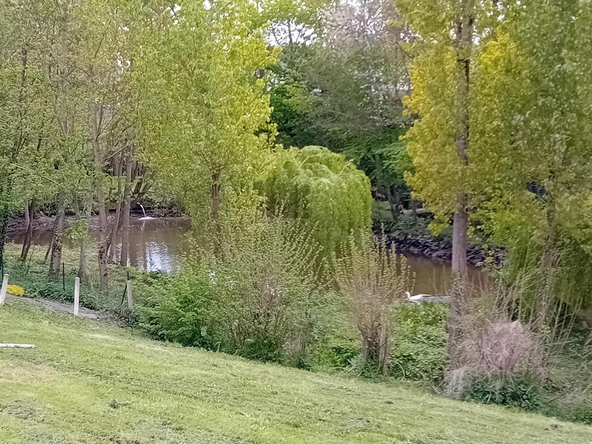 Maison au cœur de la nature Cerisy-la-Foret Extérieur photo